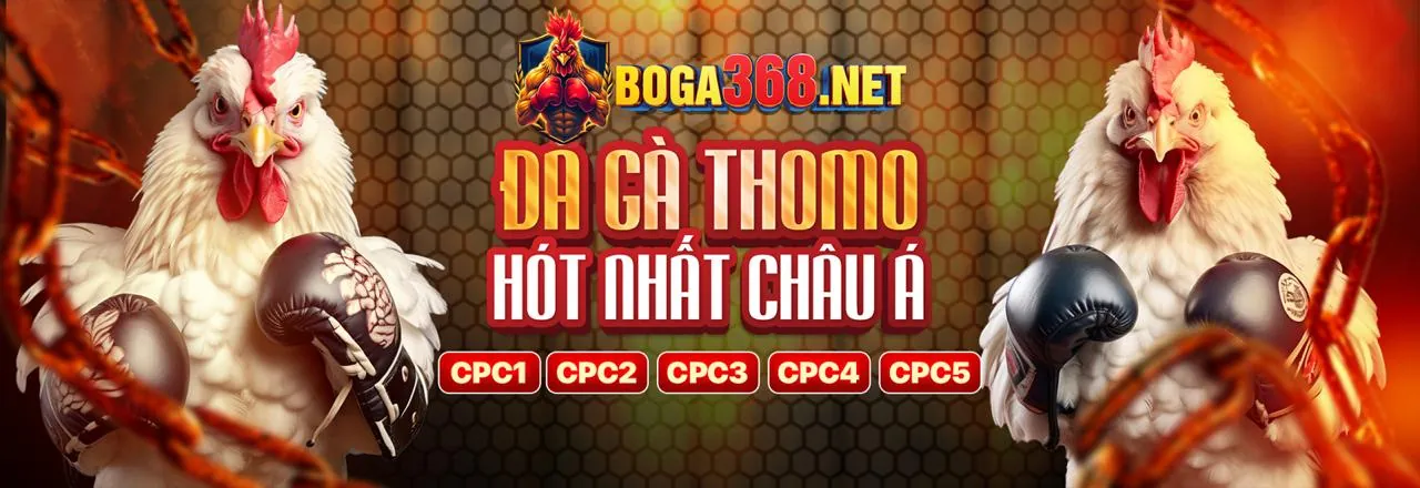 Đá gà trực tuyến lucky8 chính thức
