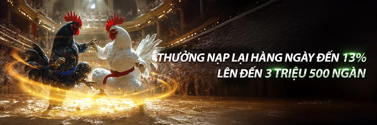 Cá cược thể thao tại lucky8 chính thức